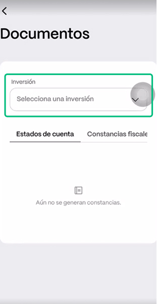 Paso 04.jpg